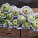 Organic Guava (5KG@750) - Image 7