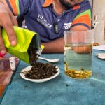 Assam Green Tea Premium Export Quality - Image 3