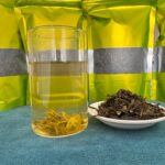 Assam Green Tea Premium Export Quality - Image 5