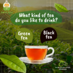 Assam Black Orthodox Tea Export Quality - Image 7